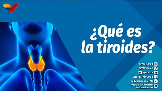 Actitud Saludable | ¿Cuál es su función de la tiroides?