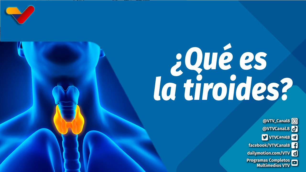 Actitud Saludable | ¿Cuál es su función de la tiroides?