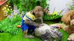 Baby Monkey KiKi rides on Police car to rescue Paw Patrol _ KUDO ANIMAL KIKI