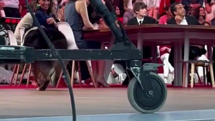 Alessandra Sublet aperçue très proche de son ex : vers un retour de leur idylle ?