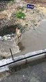 Fotos y videos: Lluvias causan inundaciones en Santo Domingo 1/2