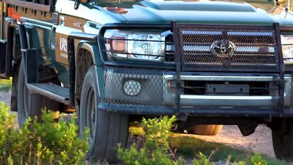 Ultimate Safari Adventure!