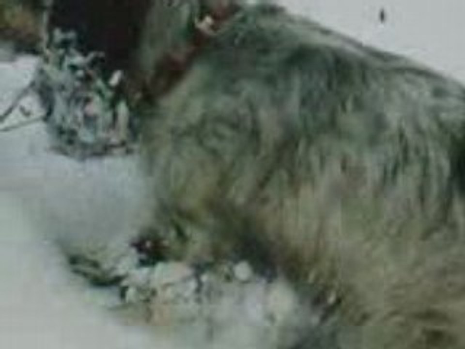 VIDneigemars08