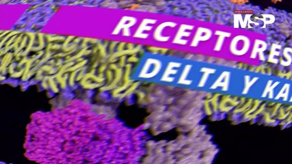 ¿Cómo actúa el Tramadol en el cuerpo para aliviar el dolor? 💊