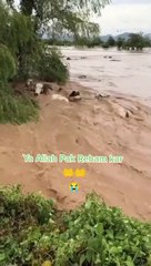 The flood caused huge losses to the people