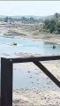 Watch VIDEO: Illegal mining is happening fiercely in Ratlam
