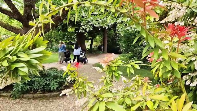 WATCH: Glorious Nyman's Gardens National Trust property in the heart of Sussex