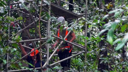 Projeto busca prever futuro das mudanças climáticas na Amazôniaa