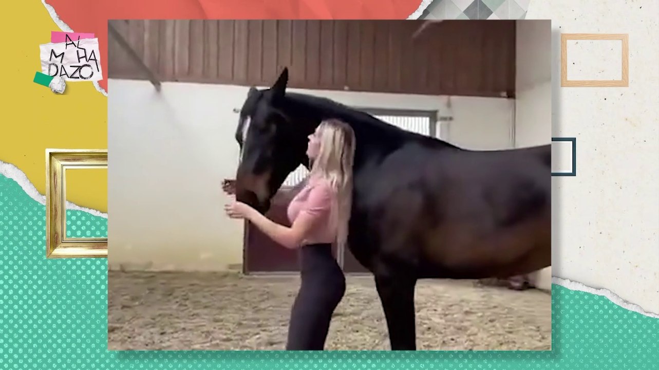 El caballo con las riendas invisibles
