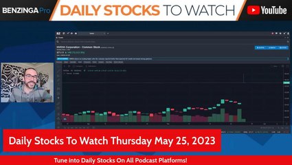 One Stock To Rule Them All! - $NVDA