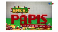 Señores Papis - Capítulo 1 completo