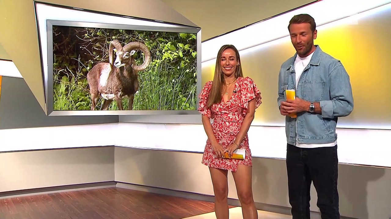 Annemarie Carpendale TAFF (25/05/2023)