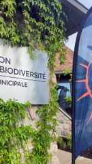 Remise de bourses du Centre d'études de Saint-Constant (Le Reflet - Vicky Girard)