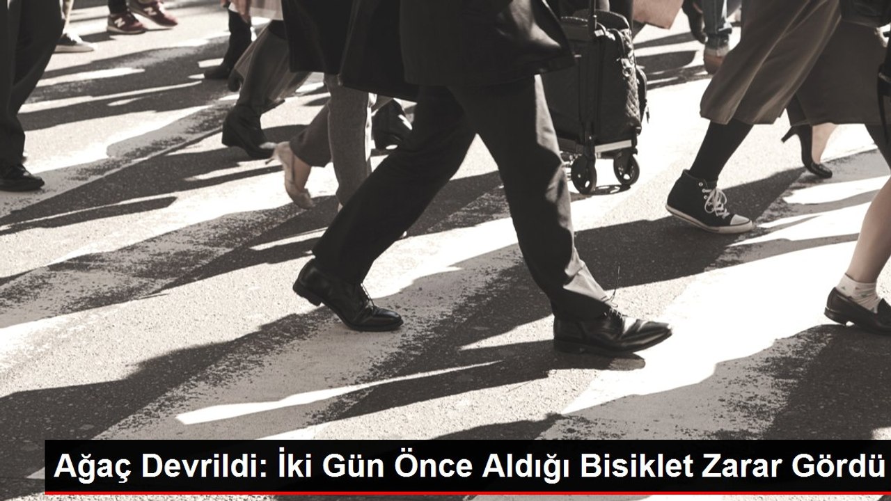 Ağaç Devrildi: İki Gün Önce Aldığı Bisiklet Zarar Gördü