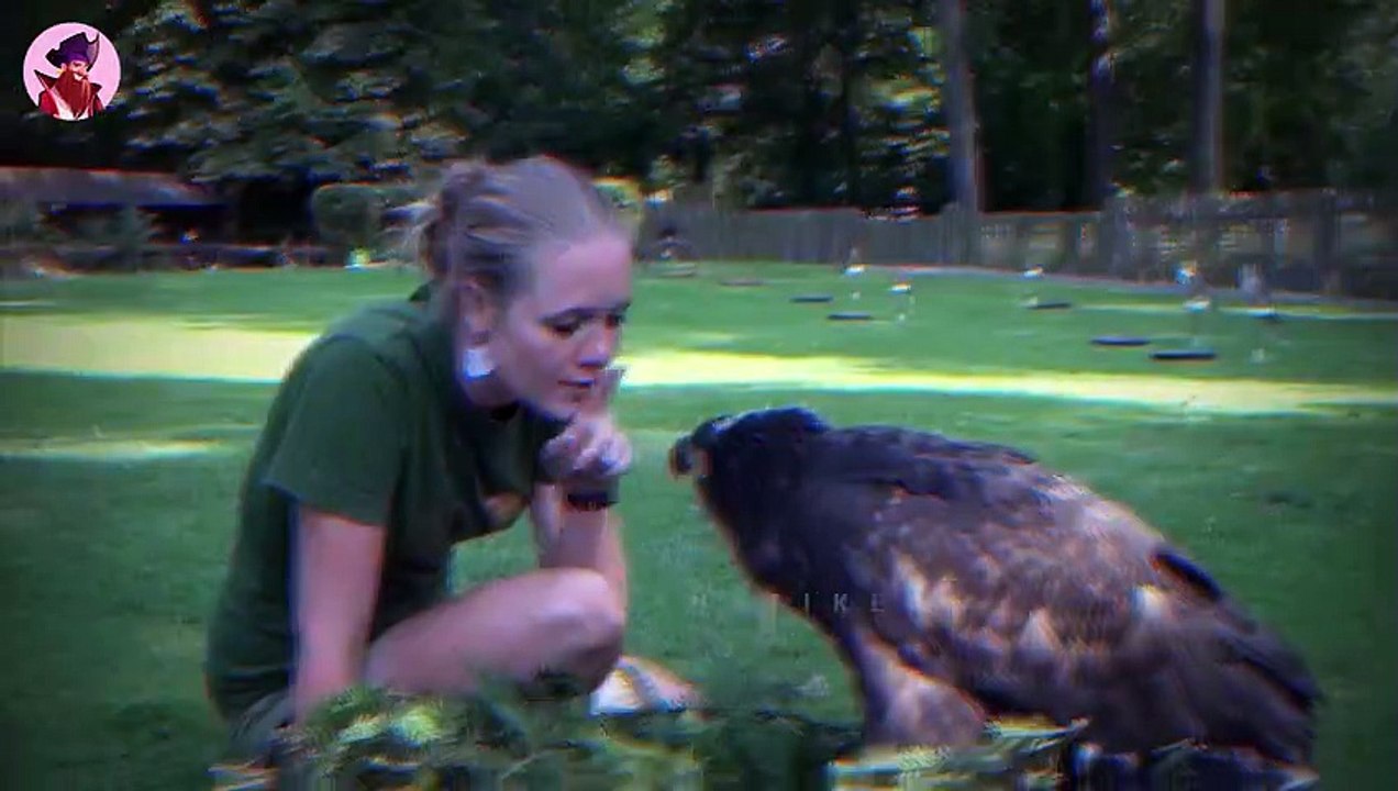 50 Gefährliche Tiere, Die Beim Freundlichsein Erwischt Wurden