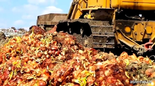 Idee sostenibili contro lo spreco e la povert? alimentare