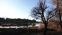 UNESCO advierte de que Doñana podría dejar de ser Patrimonio de la Humanidad con la Ley de Regadíos
