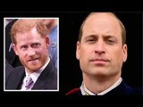 L'hommage émouvant du prince William à Harry et Diana repéré dans la vidéo Waleses Coronation