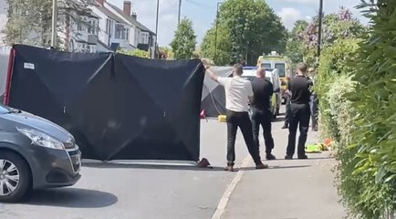 Hemper Lane: Police provide explanation for 'large' presence in Sheffield suburb leading to bus diversion