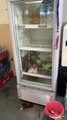 Cat Chills in Refrigerator