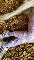 Girl and Horse Take an Adorable Nap Together