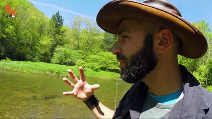 GIANT SALAMANDER FOUND!
