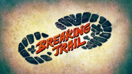 Lizard Covered in SPIKES!