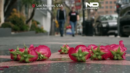 شاهد: المعجبون يضعون الورود في ممر المشاهير في لوس أنجلس تكريما لتينا تورنر