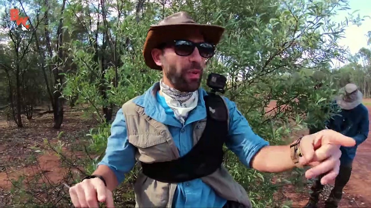 You'll NEVER guess how I caught this lizard!