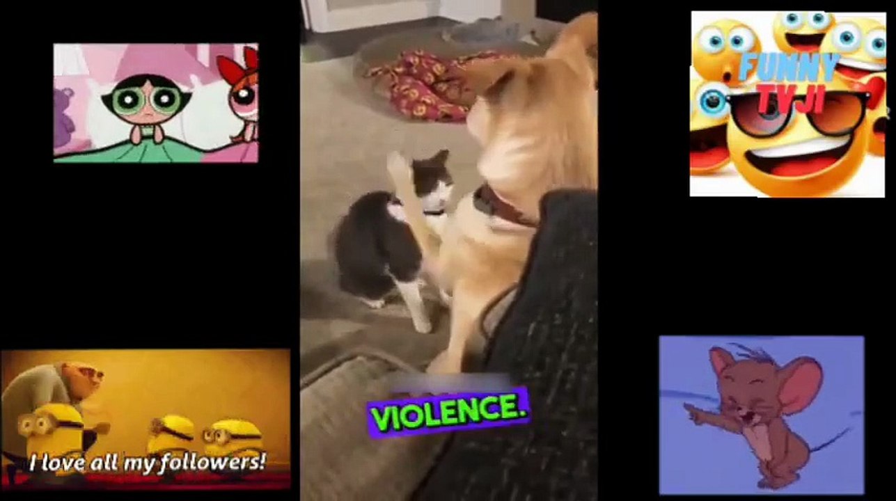 FUNNIEST VIDEO 57
