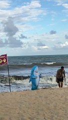 Beware of Sharks at the Beach