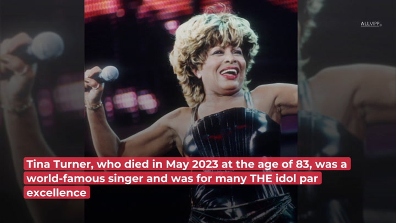 THESE Were The Men In Tina Turner's Life