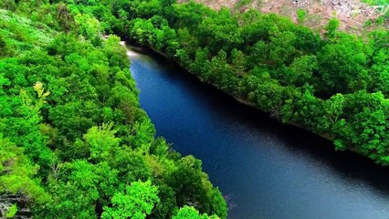 Stress Relief Music for Work