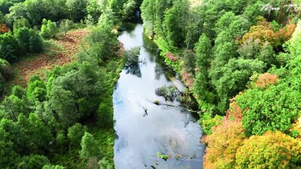 Mindfulness Music for Mental Clarity