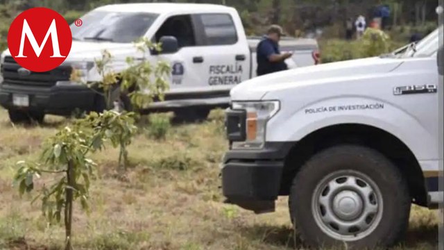 Localizan dos cuerpos en fosa clandestina en el municipio de Panindícuaro, Michoacán