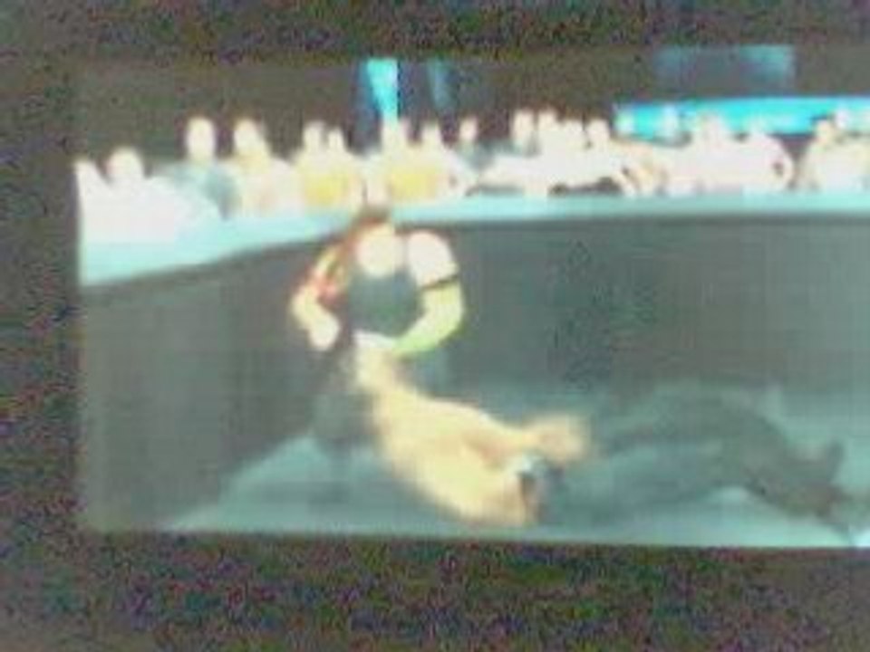 Swanton Bomb