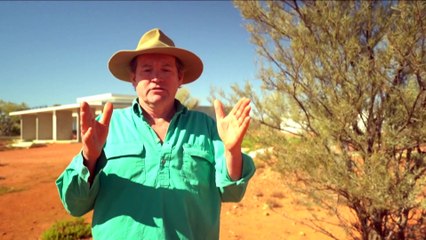 Futuristic 3D-printed dino nest sculpture unveiled in QLD