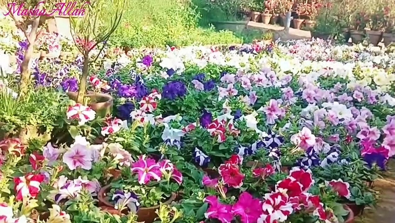 رمضان المبارک- قاری شیخ عبدل الباسط کی آواز میں صورتہ الرحمٰن بمع اردو ترجمہ کی تلاوت-نیو ویڈیو 2023