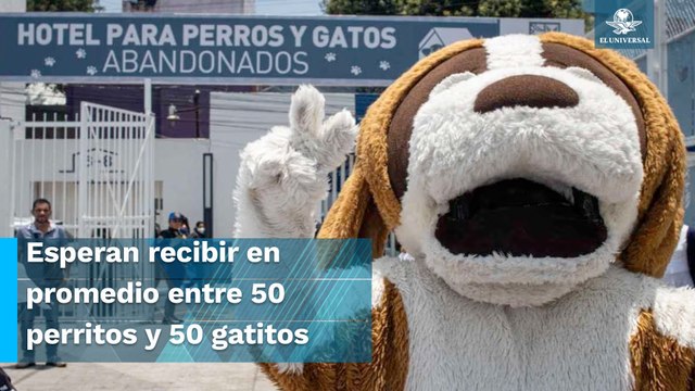 Sandra Cuevas inaugura hotel para perros y gatos abandonados, acompañada de Tabe y Rubalcava