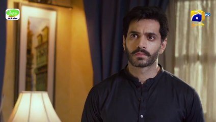 Tere Bin Episode 49 - HAR PAL GEO