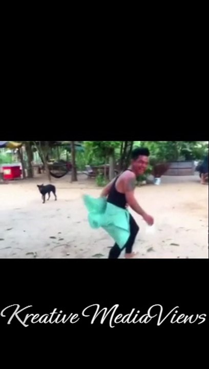 Craziest Animal Pranks -