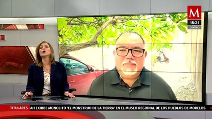 En Oaxaca, autoridades piden a Profepa enterrar a ballena que murió varada