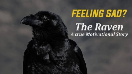 The Story Of The Raven - Don't Compare Yourself to Anyone -by Shafiq Motivation
