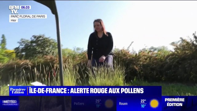 Week-end de la Pentecôte: la grande majorité du pays est placée en alerte rouge aux pollens