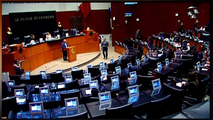 ¡VEAN! ¡Panista es destrozado por senadora Camino por usar feminicidios y 'falta' de medicinas vs. AMLO!