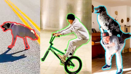 Insane Trick Shots And Stunts Compilation *Best Of 2023* || Best of Internet