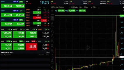 Dolar 20,47 TL ile tarihi zirveyi gördü