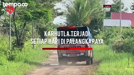 Kebakaran Hutan dan Lahan Terjadi Setiap Hari di Palangkaraya, Diduga Disengaja