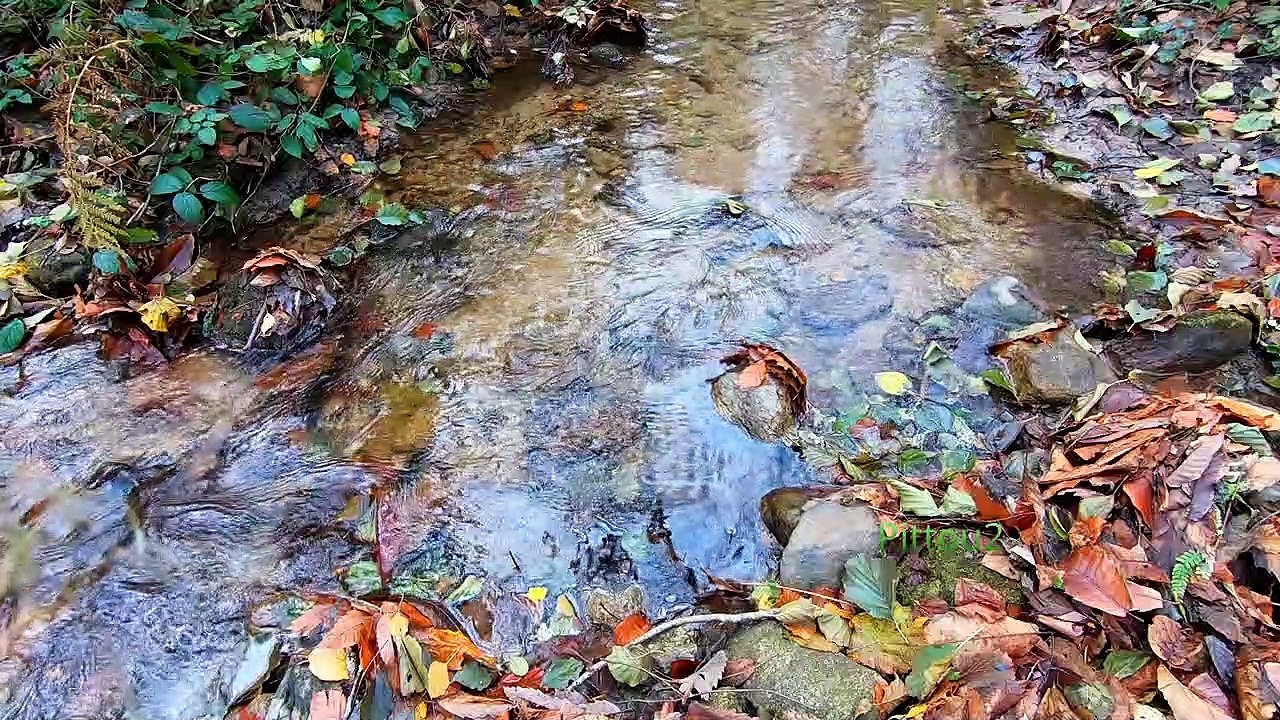 "Bien-être" Eau au Dessus - Relaxation - Détente