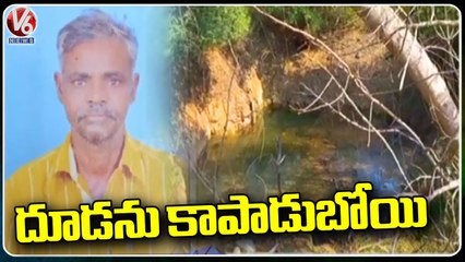 Person got Missing In Way Of Rescuing Calf | V6 News
